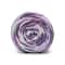 6 Pack: Caron® Slice of Anniversary Cakes™ Yarn